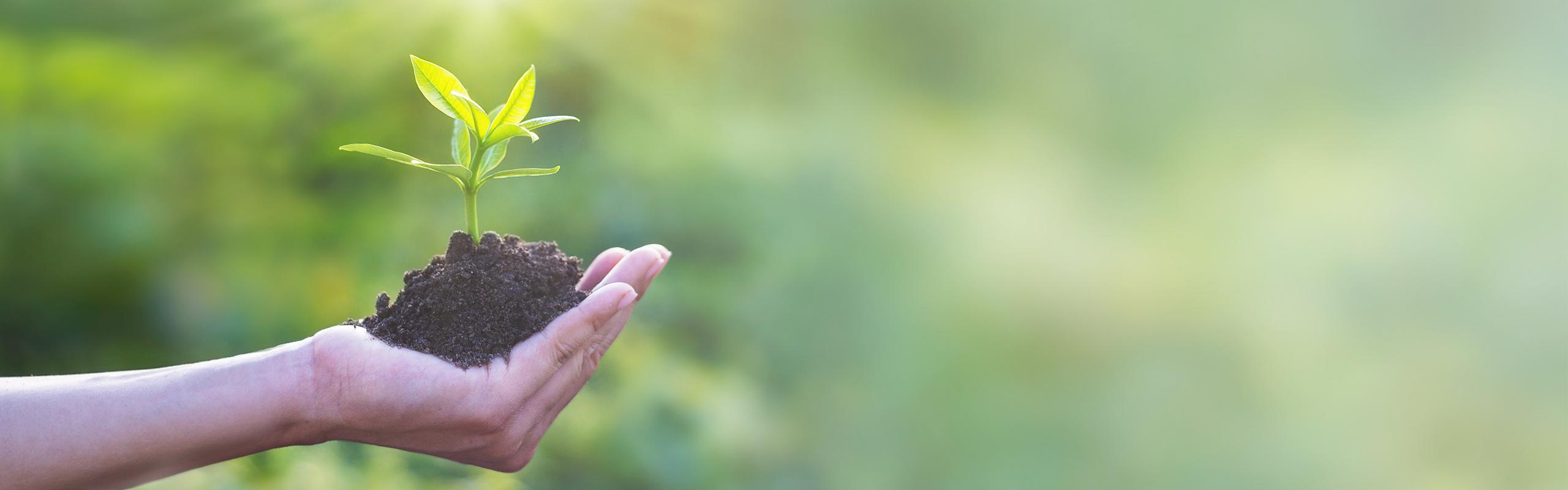 BRITA ekorozwój ręka trzyma roślinę z ziemią