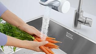 washing carrots with On Tap.