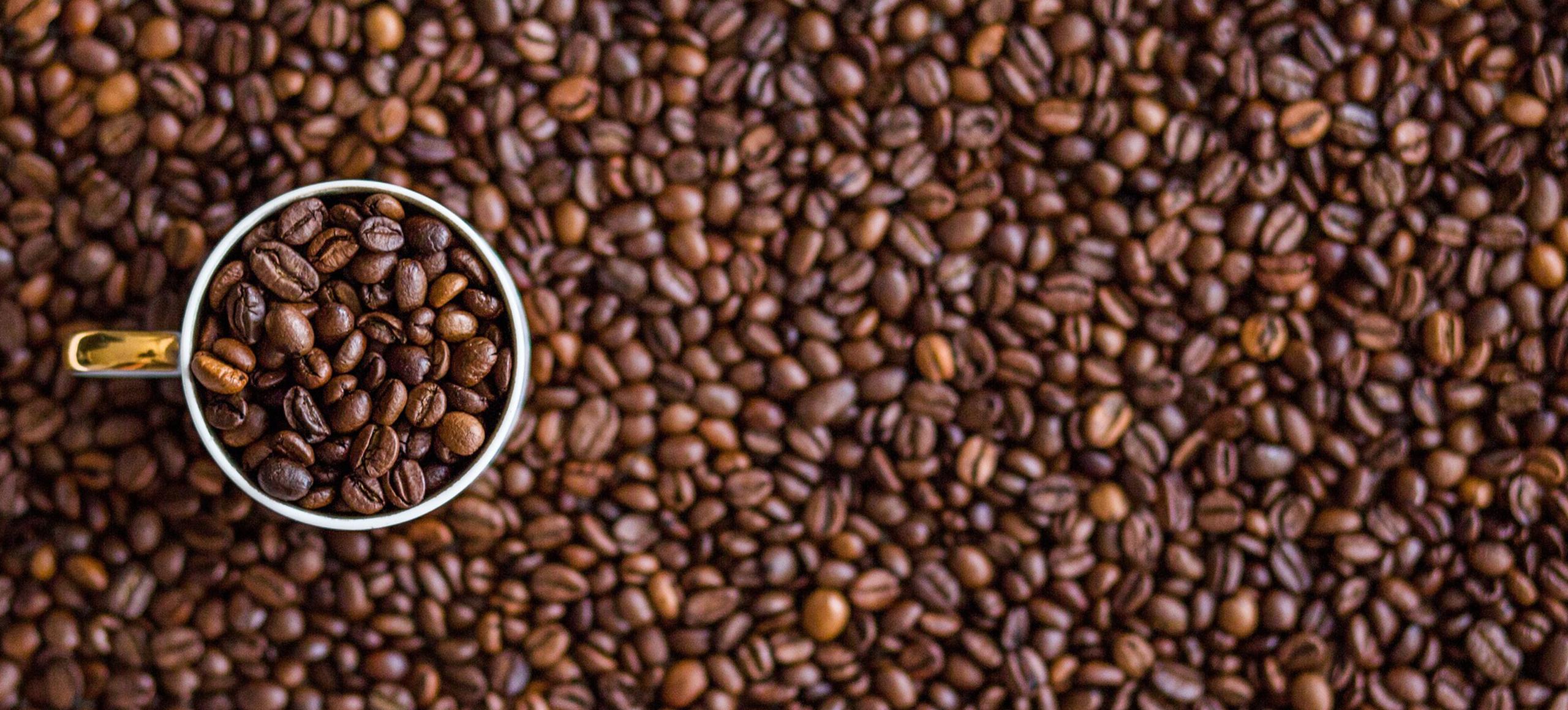 professionalfilters_stage_coffeebeans