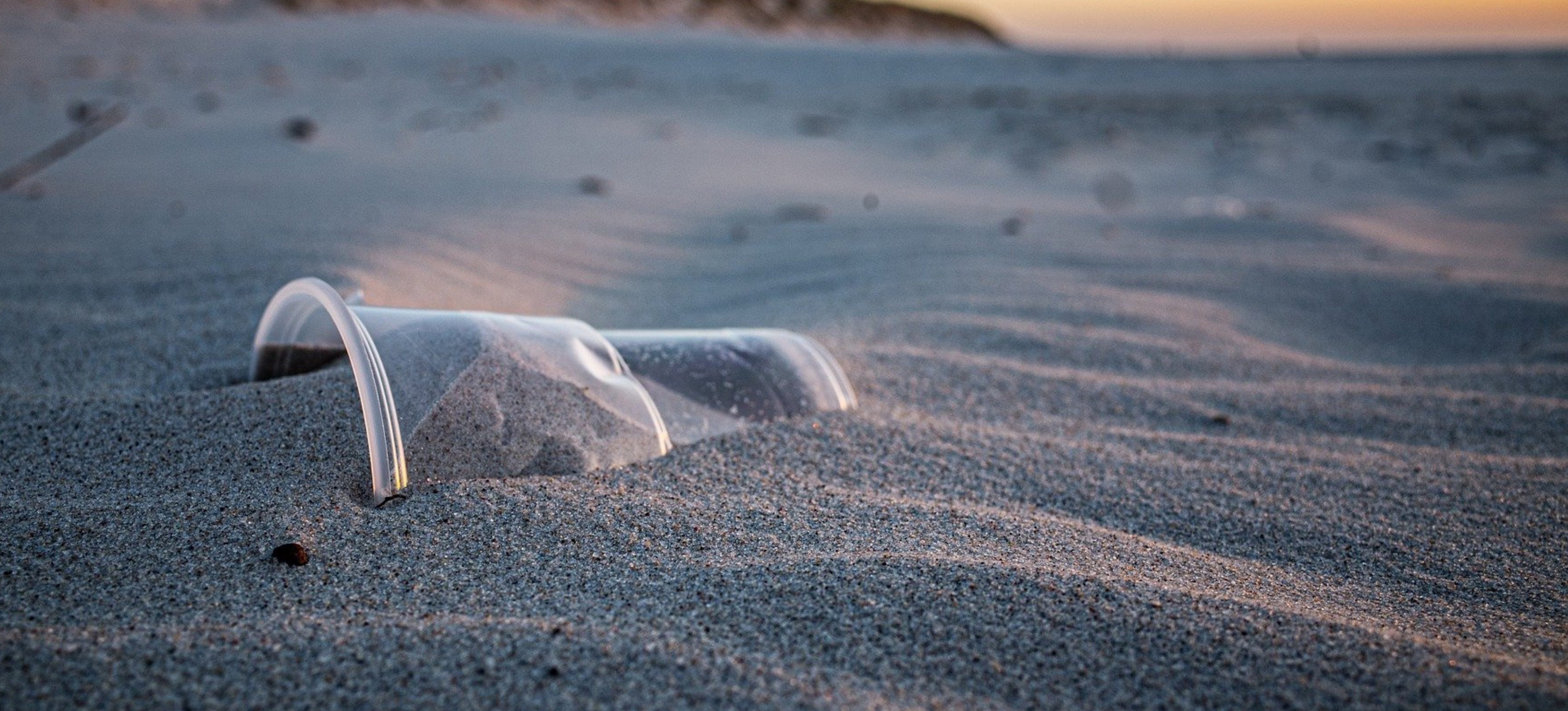 Déchets plastiques sur les plages