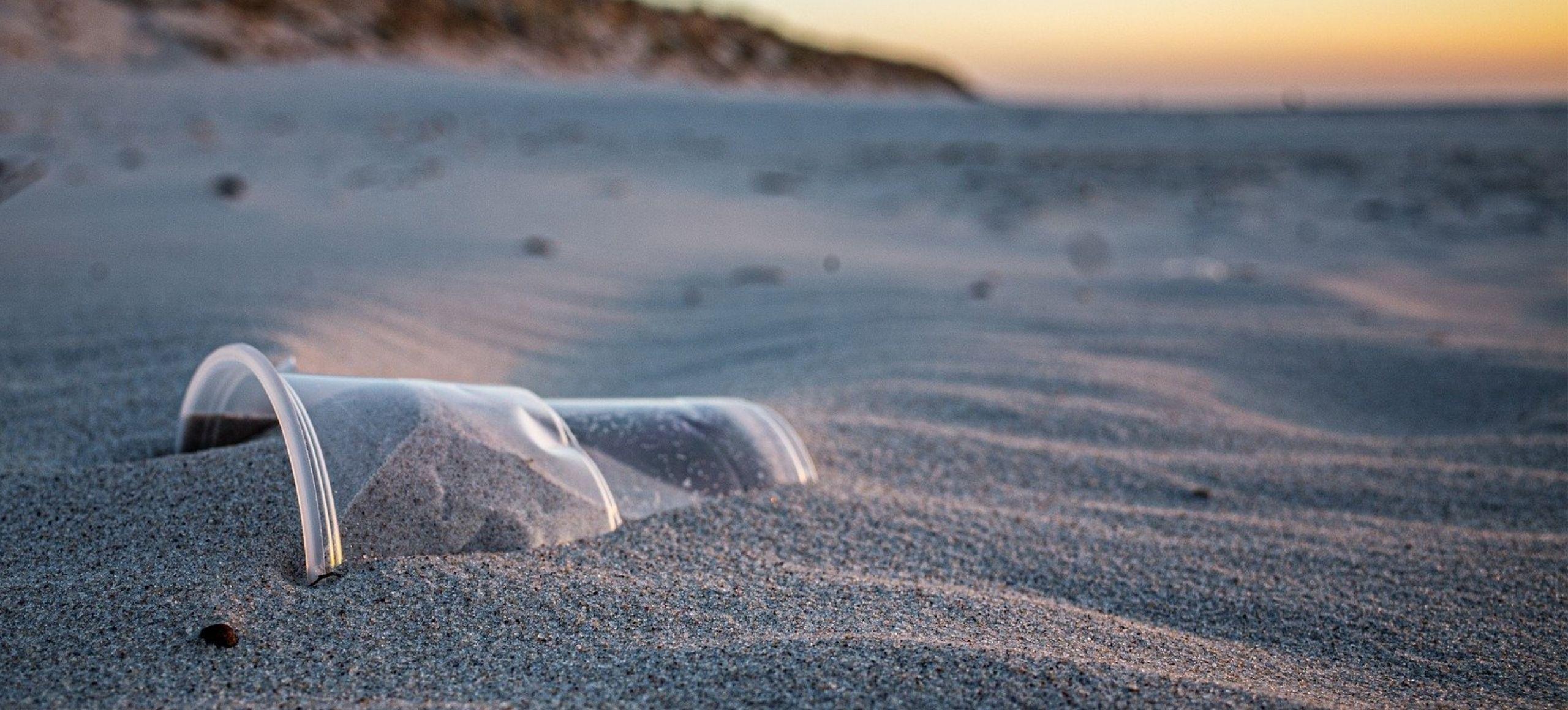 Verre en plastique sur une plage