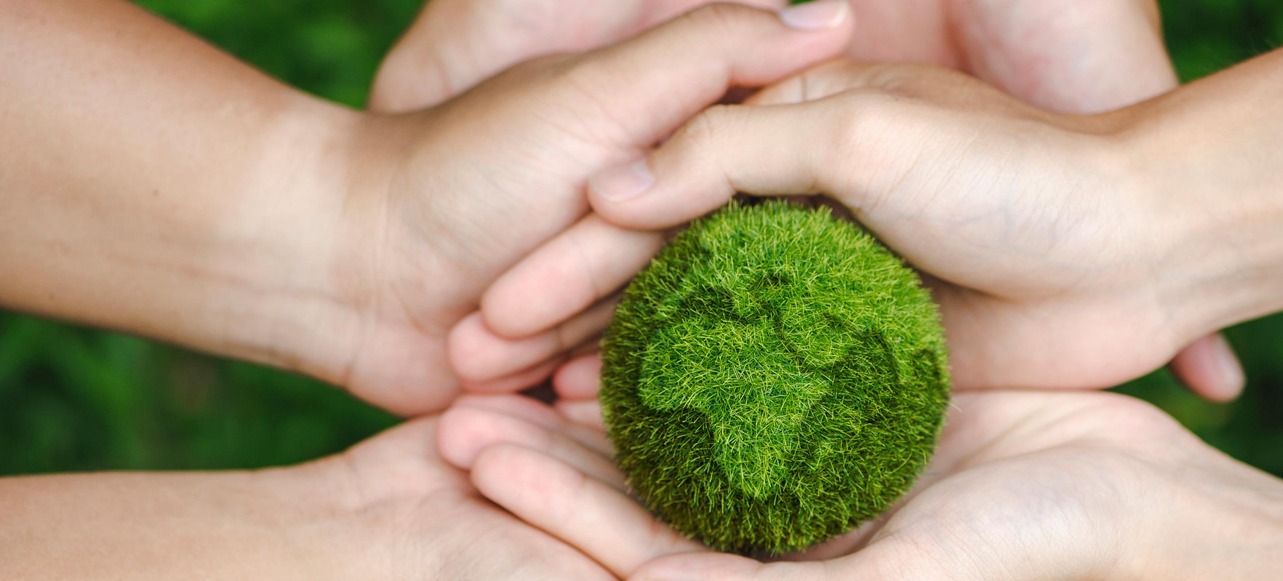 Hands holding a green earth